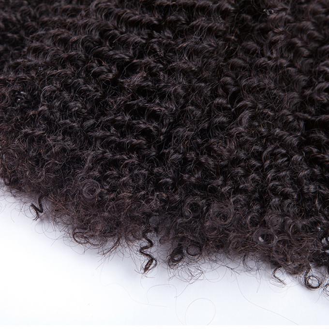 A beleza trabalha as extensões naturais 10inch do cabelo encaracolado do Mongolian da cor - 30 polegadas