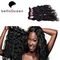 Ondule o cabelo humano peruano de onda de água do cabelo de 6A Remy para mulheres negras fornecedor