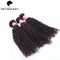 Weave encaracolado natural do cabelo humano das extensões livres reais do cabelo do Mongolian do emaranhado fornecedor