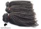 Perucas completas do cabelo humano do laço do Virgin encaracolado para a tecelagem do cabelo das mulheres negras fornecedor