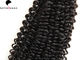 Extensão encaracolado do cabelo humano de Brazilain do cabelo do Virgin da categoria 7A do preto de Natutral da onda fornecedor