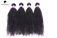 China O cabelo 6A burmese encaracolado profundo empacota extensões pretas naturais do cabelo humano do Virgin empresa